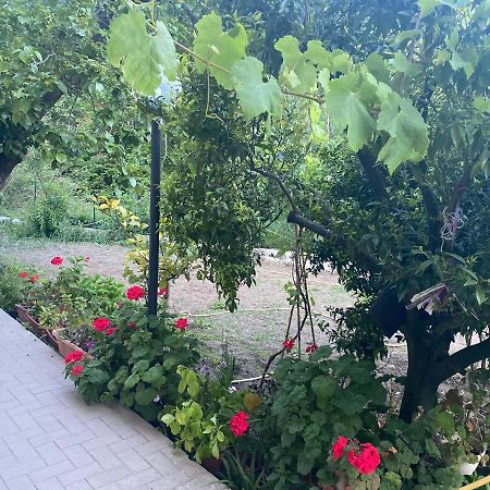 Villa Proprieta Intero Allogio Con Parcheggio Sestri Levante Exterior foto